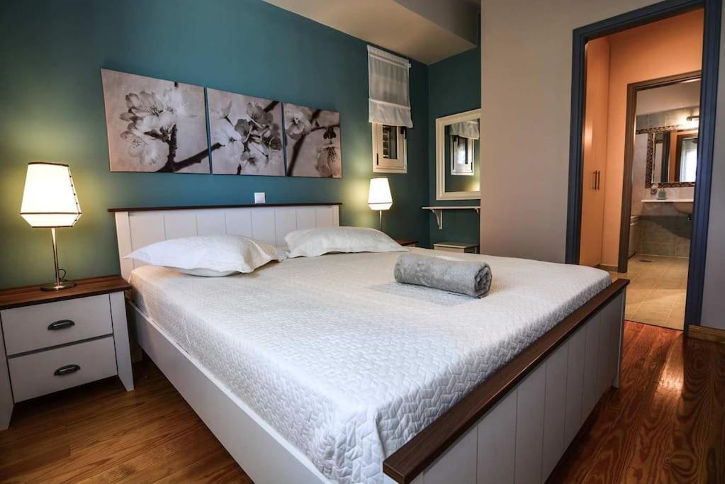 Kato Pitsa Aigli Luxurious Villa מראה חיצוני תמונה